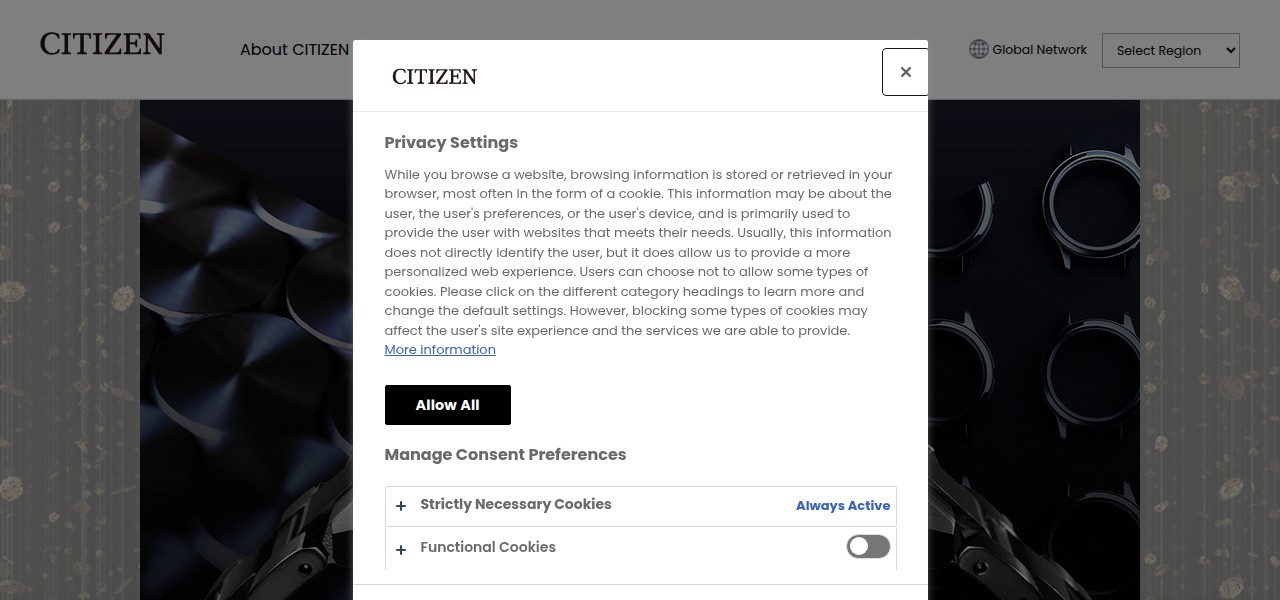 Citizen Watch — digital marketing